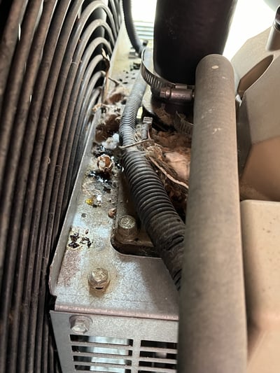 Rodent Protection for Generators: Why It Matters More Than You Think